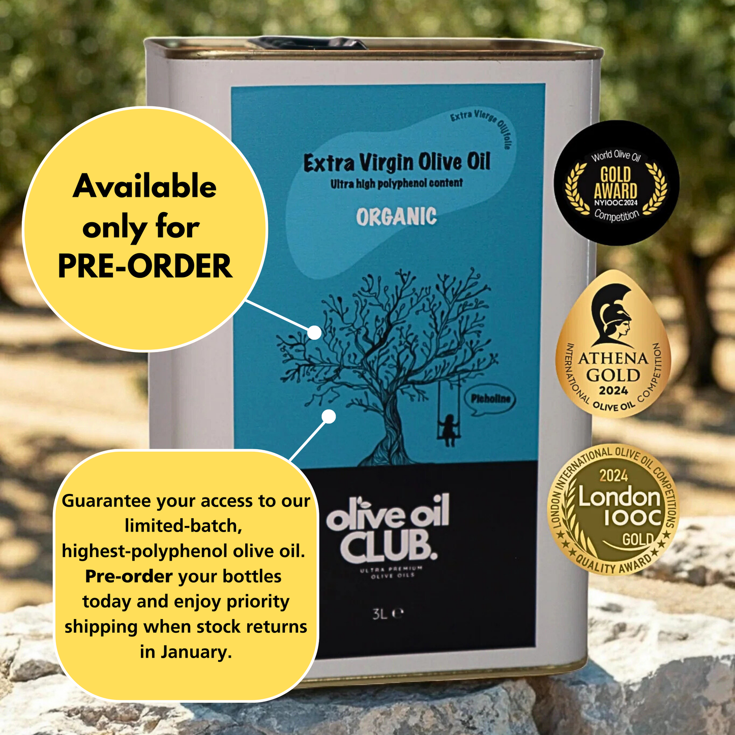 Picholine (1857* mg/kg polyphenols - only PRE-ORDERS)