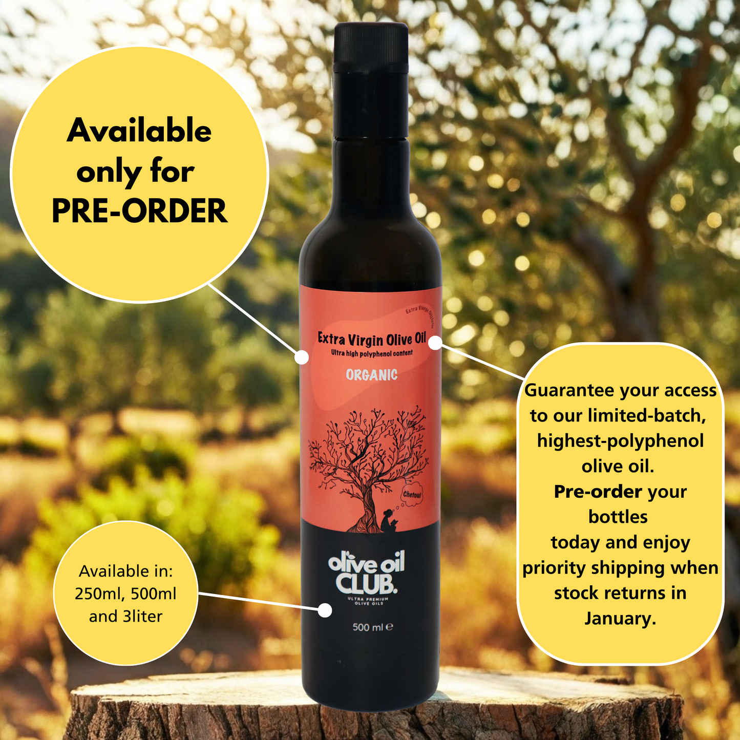 Chetoui (1573 mg/kg polyphenols - only PRE-ORDERS)