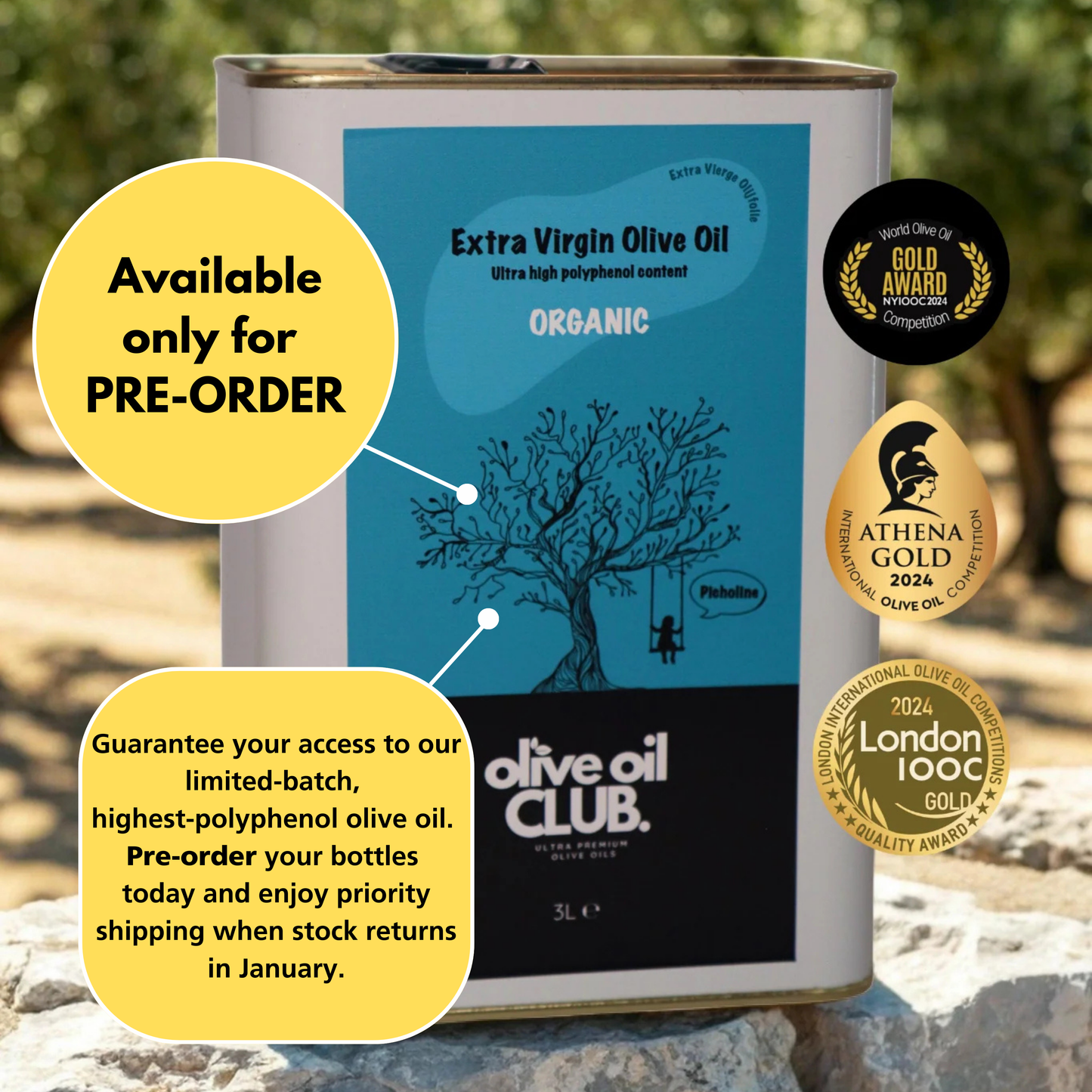 Picholine (1857* mg/kg polyphenols - only PRE-ORDERS)