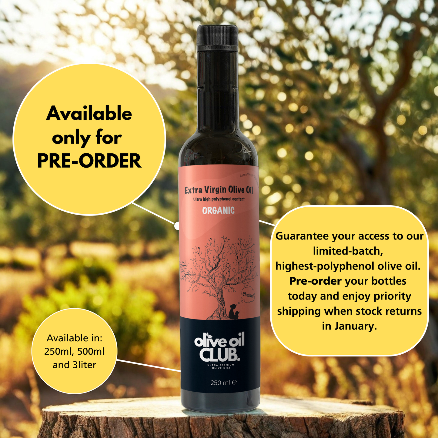 Chetoui (1573 mg/kg polyphenols - only PRE-ORDERS)